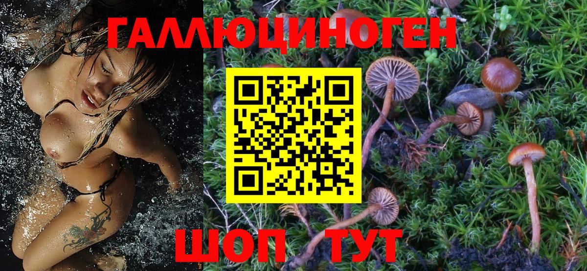 Галлюциногенные грибы мицелий Баксан