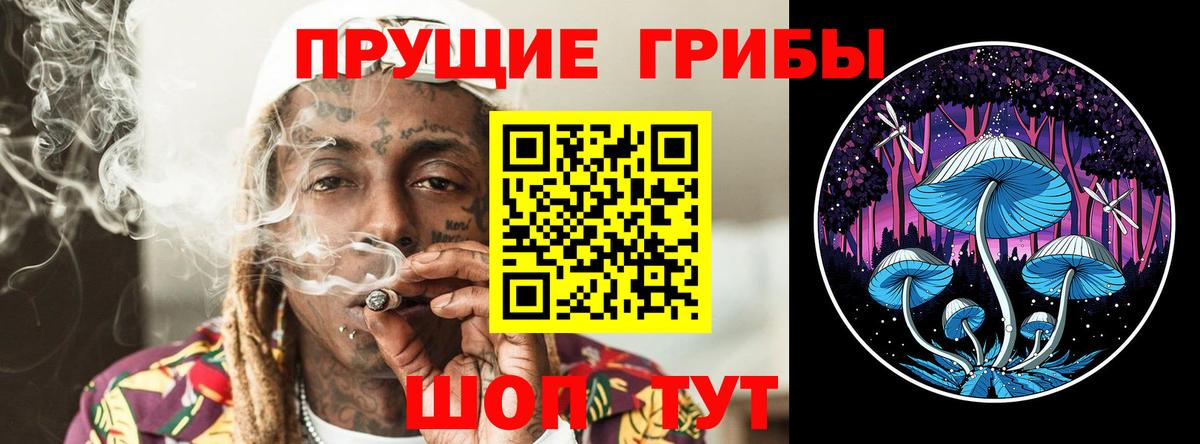 Баксан  Псилоцибиновые грибы GOLDEN TEACHER  Вход с VPN 